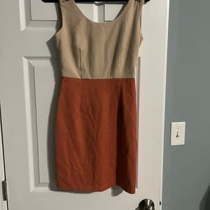Two tone dress with zippered back